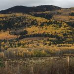 img_4250